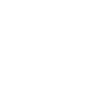 Recognized Financial Adviser